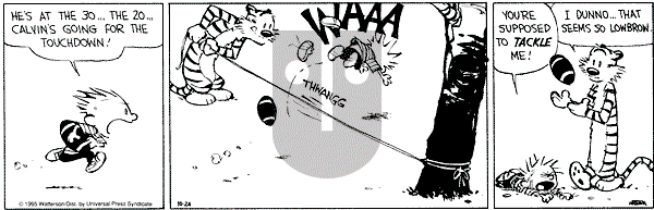 Calvin and Hobbes - Tuesday October 24, 1995 Comic Strip