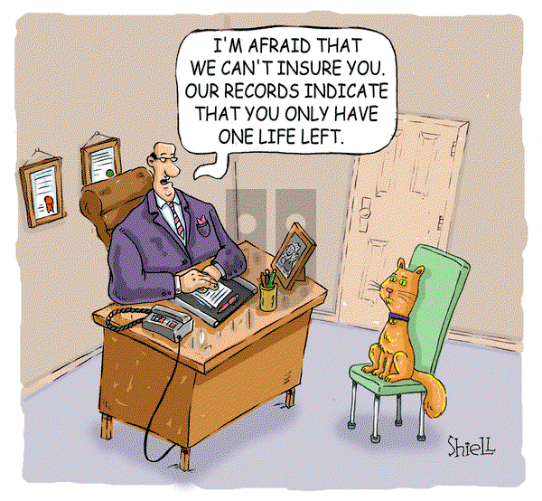 The Wandering Melon on Wednesday January 24, 2024 Comic Strip