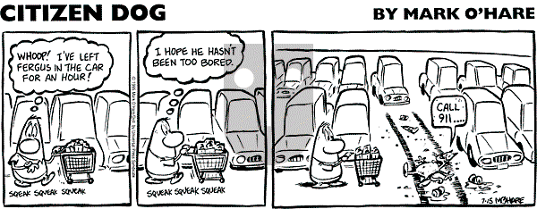 Citizen Dog on Friday June 27, 2025 Comic Strip