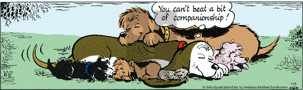 Fred Basset on Saturday January 28, 2017 Comic Strip