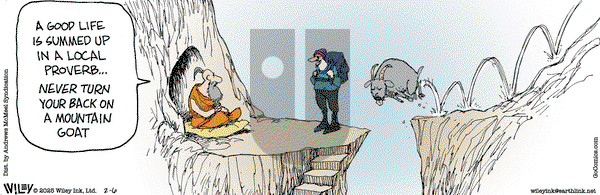 Non Sequitur - Thursday February 6, 2025 Comic Strip