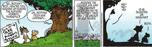 Over the Hedge on Monday July 27, 2020 Comic Strip