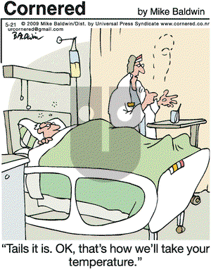 Cornered on Thursday May 21, 2009 Comic Strip