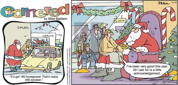 Cornered on Sunday December 19, 2010 Comic Strip