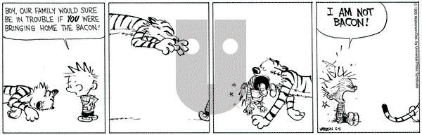 Calvin and Hobbes on Monday June 5, 1995 Comic Strip