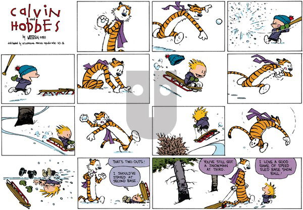 Calvin and Hobbes - Sunday December 12, 1993 Comic Strip