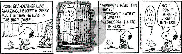 Peanuts - Thursday January 6, 1994 Comic Strip