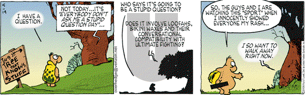 Over the Hedge on Wednesday May 19, 2010 Comic Strip