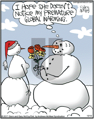 The Flying McCoys on Tuesday December 12, 2017 Comic Strip