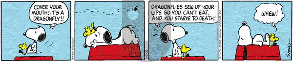 Peanuts on Wednesday August 8, 2001 Comic Strip