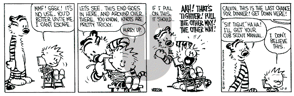 Calvin and Hobbes - Wednesday December 2, 1987 Comic Strip