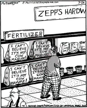 Close to Home on Friday April 25, 2008 Comic Strip