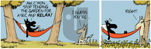 Dark Side of the Horse on Saturday May 23, 2020 Comic Strip