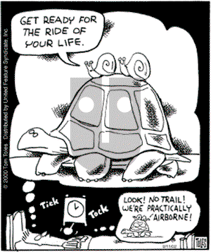 Randolph Itch, 2 a.m. on Wednesday November 13, 2024 Comic Strip