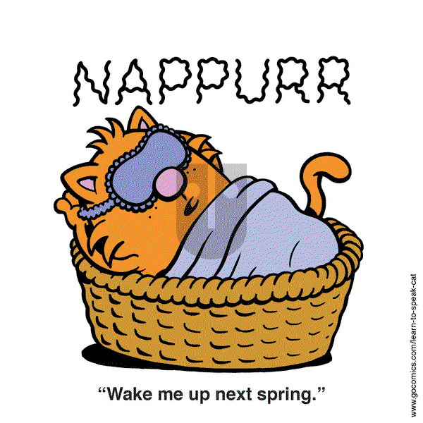 Learn to Speak Cat on Thursday April 3, 2025 Comic Strip