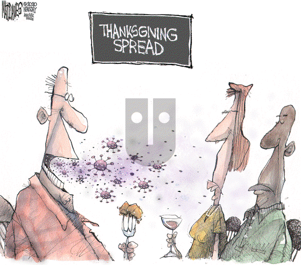 Matt Davies on Wednesday November 25, 2020 Comic Strip