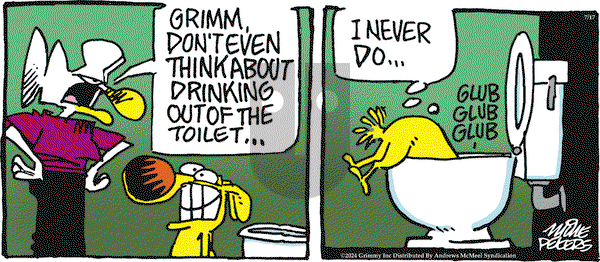 Mother Goose and Grimm - Wednesday July 17, 2024 Comic Strip