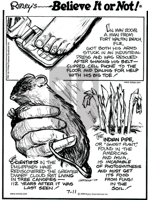 Ripley's Believe It or Not on Friday July 11, 2008 Comic Strip