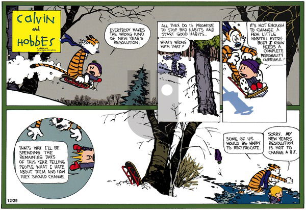 Calvin and Hobbes on Sunday December 27, 1992 Comic Strip