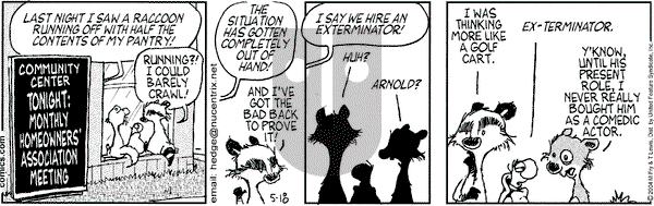 Over the Hedge on Tuesday May 18, 2004 Comic Strip