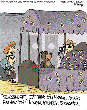 The Flying McCoys on Monday April 26, 2010 Comic Strip