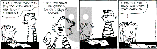 Calvin and Hobbes - Tuesday November 20, 1990 Comic Strip