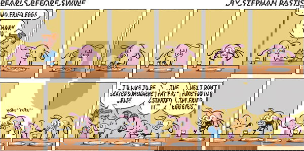 Pearls Before Swine - Sunday June 7, 2009 Comic Strip