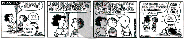Peanuts on Tuesday July 3, 1956 Comic Strip