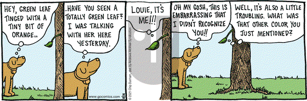 Overboard on Tuesday August 31, 2021 Comic Strip