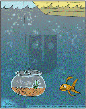 The Flying McCoys on Saturday June 20, 2020 Comic Strip
