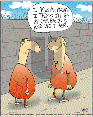 The Flying McCoys on Friday August 18, 2017 Comic Strip