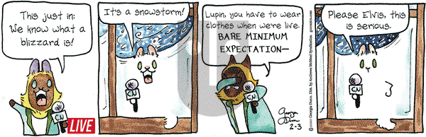 Breaking Cat News on Monday February 3, 2020 Comic Strip