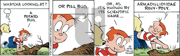 Red and Rover on Monday July 20, 2020 Comic Strip