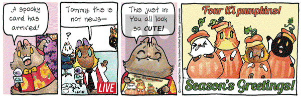 Breaking Cat News on Saturday October 10, 2020 Comic Strip