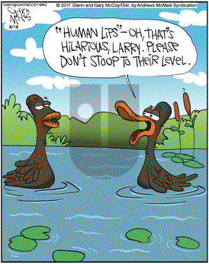 The Flying McCoys on Wednesday August 16, 2017 Comic Strip