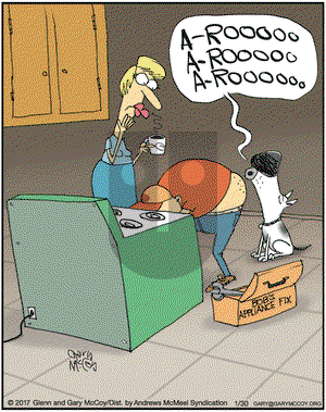 The Flying McCoys on Monday January 30, 2017 Comic Strip