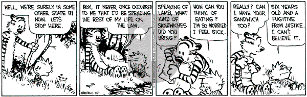 Calvin and Hobbes - Saturday June 15, 2024 Comic Strip