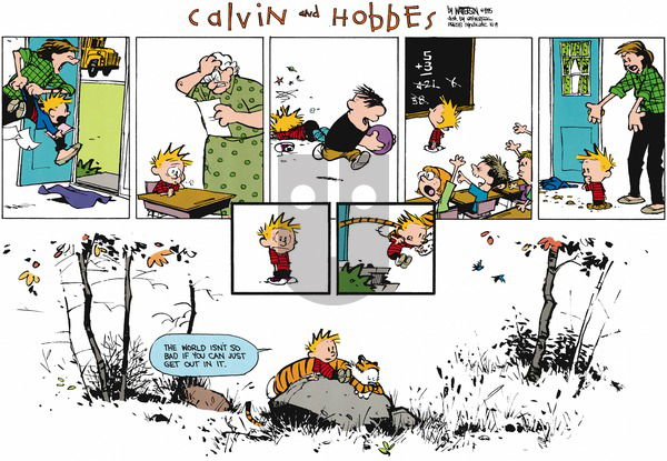 Calvin and Hobbes on Sunday October 8, 1995 Comic Strip