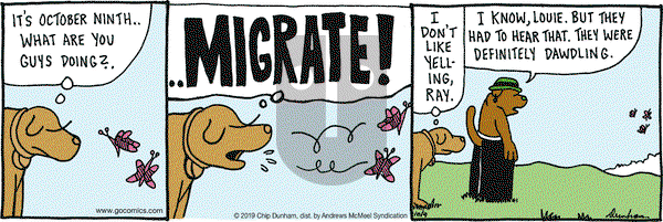Overboard on Wednesday October 9, 2019 Comic Strip