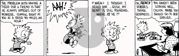 Calvin and Hobbes - Wednesday August 3, 1988 Comic Strip