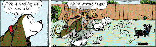 Fred Basset on Friday April 29, 2016 Comic Strip