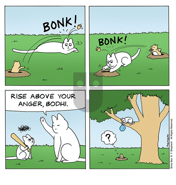 Snow Sez on Monday August 12, 2024 Comic Strip