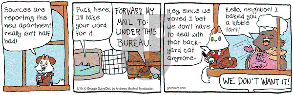 Breaking Cat News on Friday May 19, 2017 Comic Strip