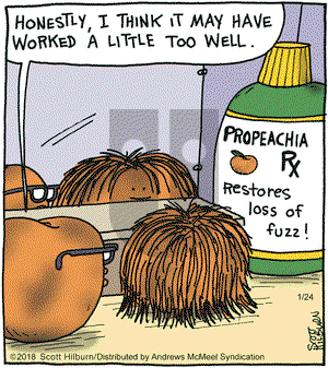 The Argyle Sweater on Wednesday January 24, 2018 Comic Strip