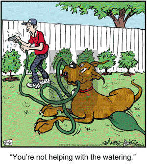 Marmaduke on Thursday September 6, 2012 Comic Strip