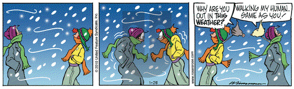 Rose is Rose on Monday January 25, 2010 Comic Strip