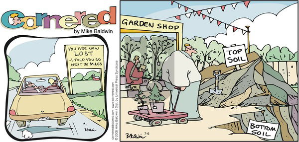 Cornered on Sunday July 6, 2008 Comic Strip