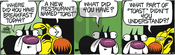 Mother Goose and Grimm on Friday February 28, 2025 Comic Strip