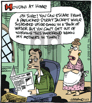 Reality Check on Saturday January 17, 2009 Comic Strip