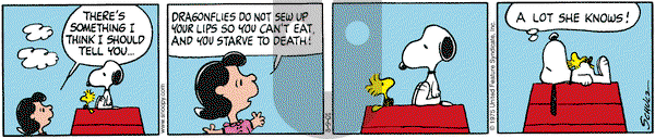 Peanuts on Thursday August 9, 2001 Comic Strip